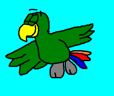 PJ the Parrot